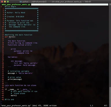 a programmer's screen with a vim editor open on a python script with a humorous comment