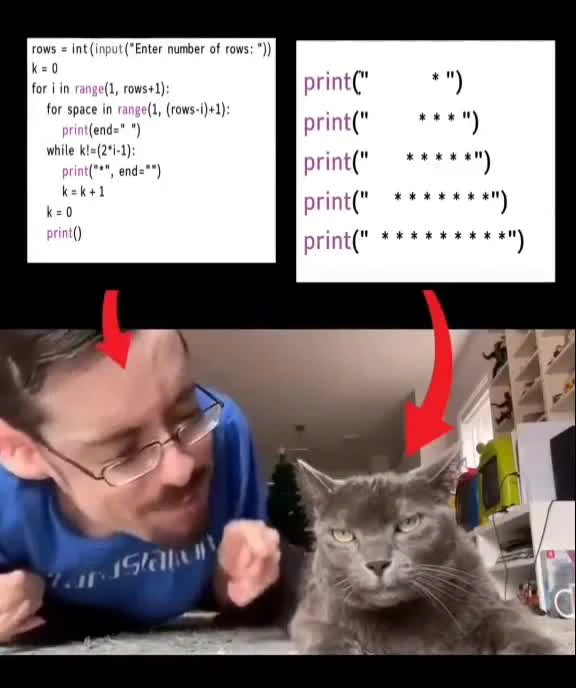 Split screen showing complex Python code and simple print statements, with a developer and a skeptical cat looking at them.