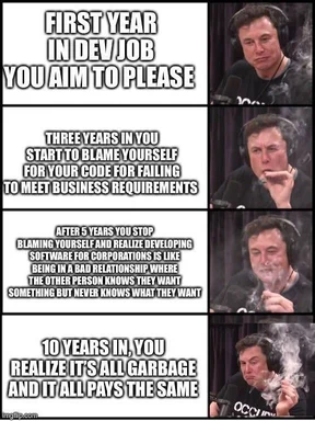 Elon Musk meme about developer job experience