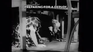 Deploy preparation scene with a lion