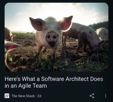 a meme of pigs in a field with a caption about software architects