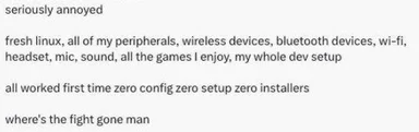 Annoyed developer with seamless Linux setup