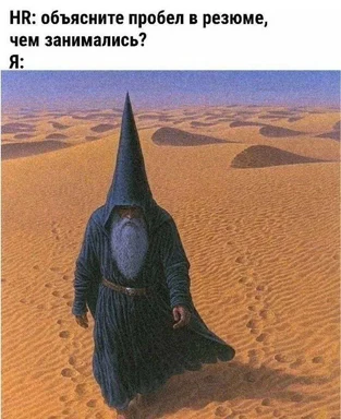 Hooded wizard with a long beard walking through an endless desert, used as a reaction to a huge gap in a resume