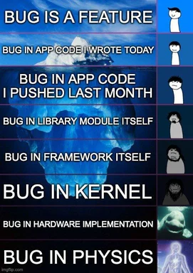 bug-is-a-feature meme