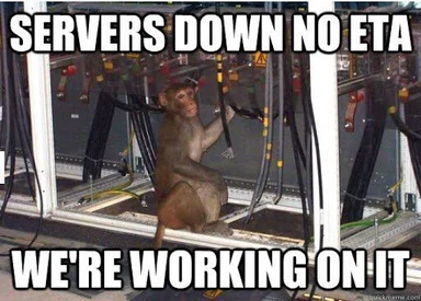 A monkey sitting in an open server rack with text overlay reading 'Servers Down No ETA We're Working On It'