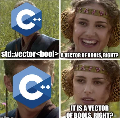 C++ vector boolean meme