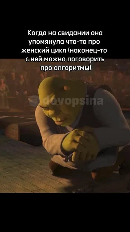 Shrek meme about discussing algorithms on a date