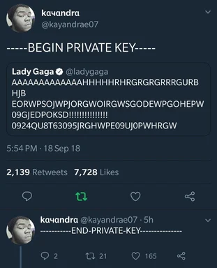 Private key meme with Lady Gaga tweet