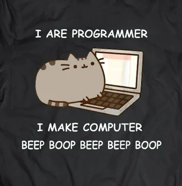 Pusheen cat on a laptop with text 'I ARE PROGRAMMER I MAKE COMPUTER BEEP BOOP BEEP BEEP BOOP'