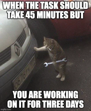 cat with wrench trying to fix car