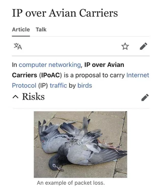 Screenshot of an IP over Avian Carriers article showing dead pigeons labeled as an example of packet loss