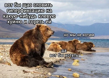 bear sitting on beach with other bears in background and mountains