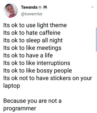 humorous text about programmer stereotypes