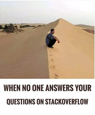 man sitting alone on sand dune with text 'when no one answers your questions on stackoverflow'