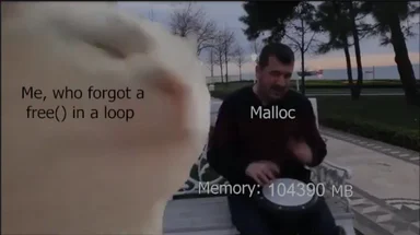 programmer memory leak meme