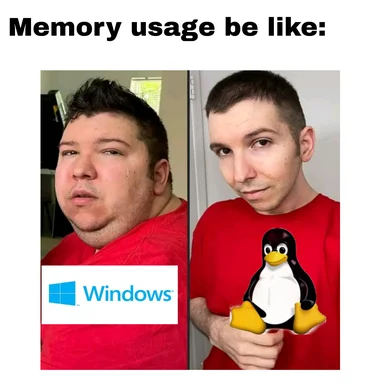 Memory usage meme comparing Windows and Linux