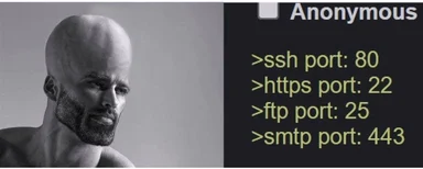 Anonymous logo next to a terminal window showing incorrect port mappings for ssh, https, ftp, and smtp.