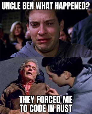 Spider-Man and Uncle Ben meme with text 'UNCLE BEN WHAT HAPPENED? THEY FORCED ME TO CODE IN RUST'