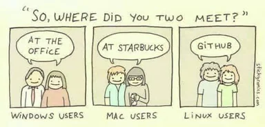 cartoon of where windows, mac, and linux users meet