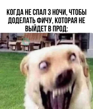 angry dog with caption about developer burnout