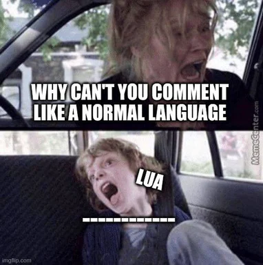 frustrated developer reaction to lua comments