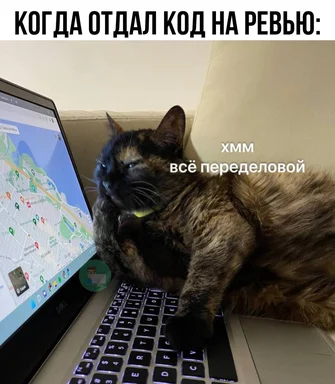 cat on laptop with map on screen and russian text