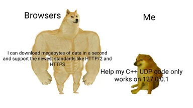 dogecoin doge meme comparing browsers and personal coding struggles