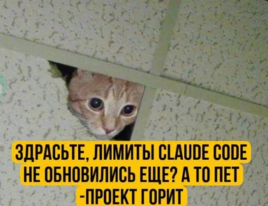 cat peeking through ceiling tile with russian text about claude code limits