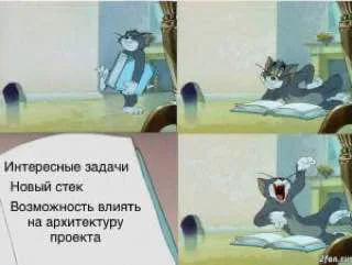Tom cat reacting to interesting tasks on a project