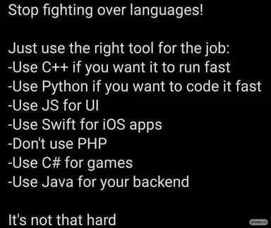 Stop fighting over languages meme