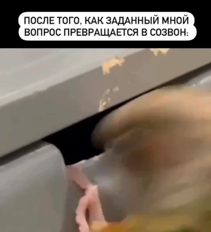 A hamster runs on a wheel with a caption about a question turning into a call