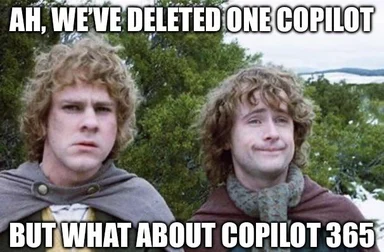 Lord of the Rings meme about Copilot and Copilot 365