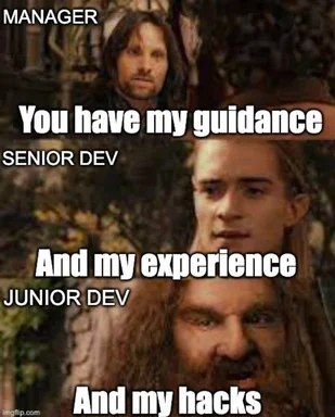 Lord of the Rings meme: manager guidance, senior dev experience, junior dev hacks
