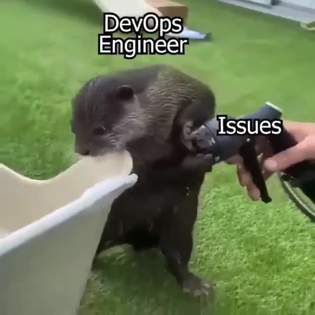 Otter drinking from a fire hose labeled 'Issues' with 'DevOps Engineer' text