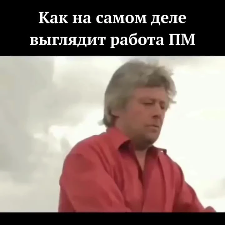 meme about project management work