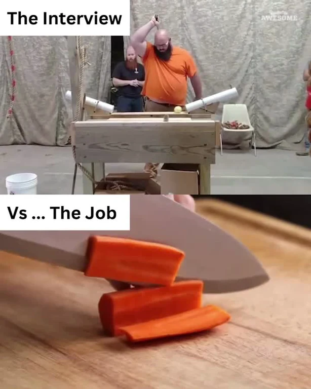 The Interview Vs The Job meme
