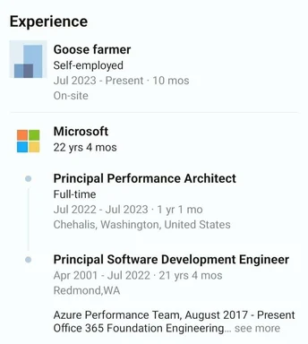 Goose farmer then Microsoft engineer resume joke
