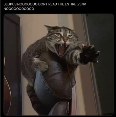 angry cat meme with text 'SLOPUS NOOOOOOO DONT READ THE ENTIRE .VENV NOOOOOOOOO'
