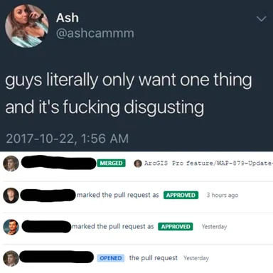 a screenshot of a social media post with a developer meme