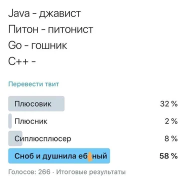 C++ developer slang poll results