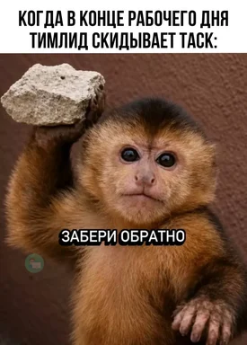 monkey holding rock meme