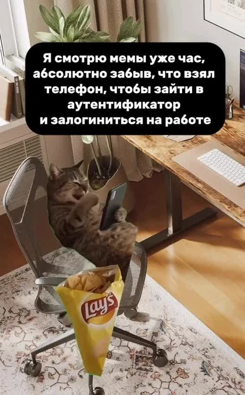 A cat sitting in an office chair, looking at a phone with a bag of Lays chips on the floor, with a caption about getting distracted by memes