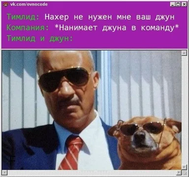 Funny meme of a man and dog wearing sunglasses