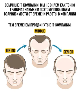 IT company skills levels and hair loss