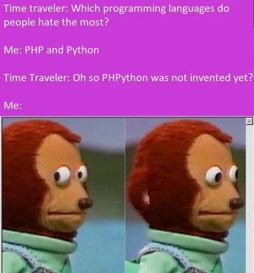 a meme about time travel and programming languages