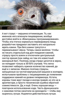 Ostrich with a thoughtful expression, representing optimization in programming