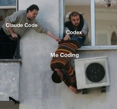 A man labeled 'Me Coding' hangs off a window and AC unit while two figures labeled 'Claude Code' and 'Codex' grab him and
