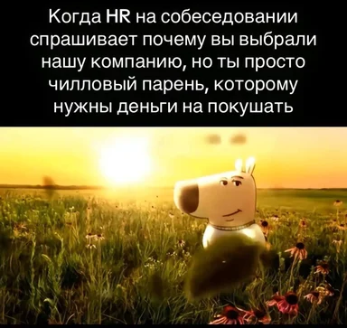 dog in a field with a sunset background and russian text about HR interview