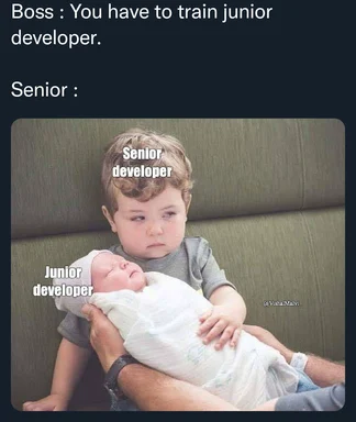 senior developer holding junior developer like a baby