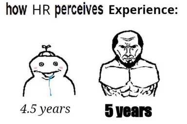 HR perception of experience meme